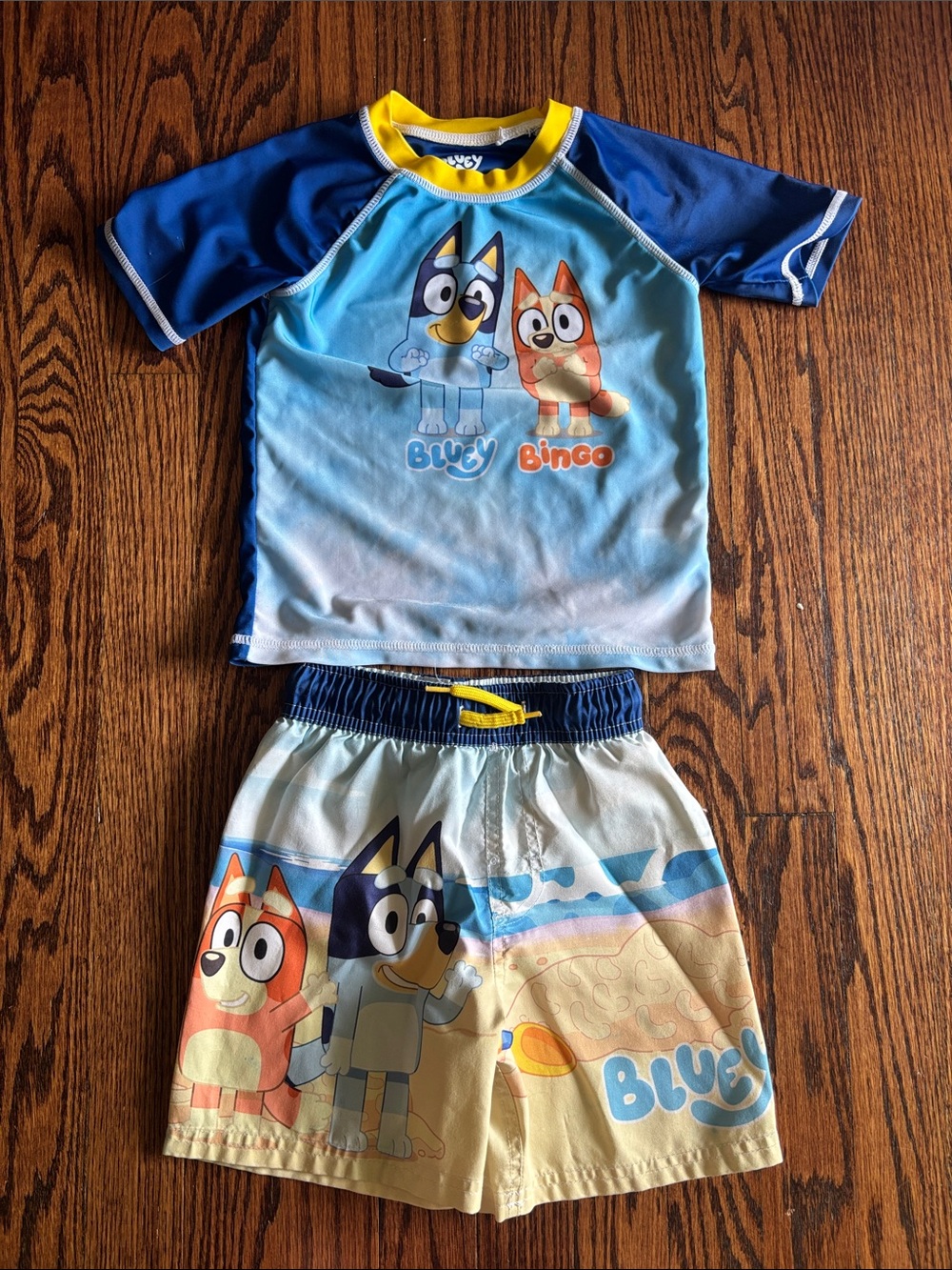 Bluey & Bingo Beach Scene Swimsuit Set, 3T